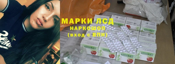 дмт Ельня