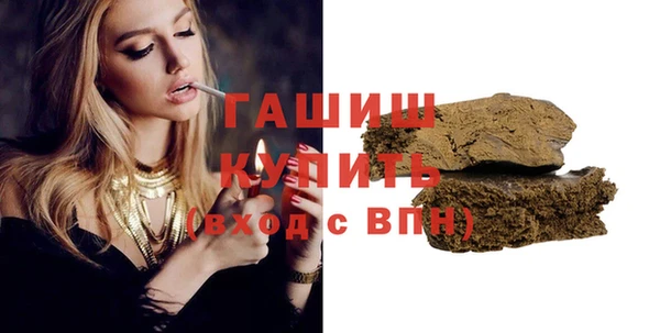 дмт Ельня
