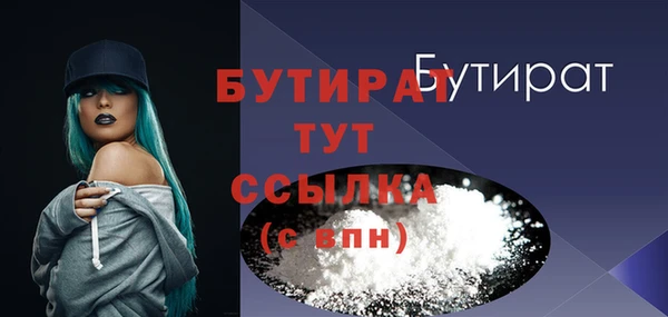 дмт Ельня