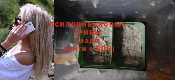 мдпв Заволжье