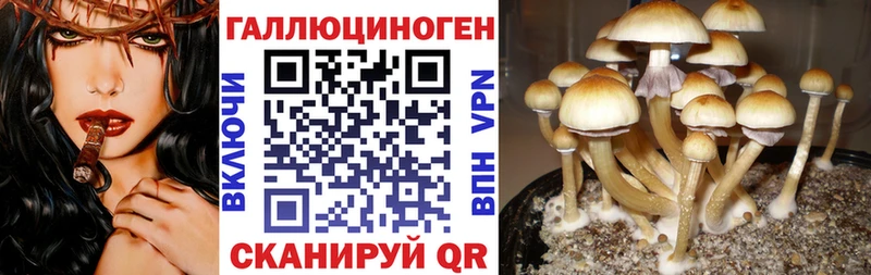 Галлюциногенные грибы Cubensis  Купить  Биробиджан 